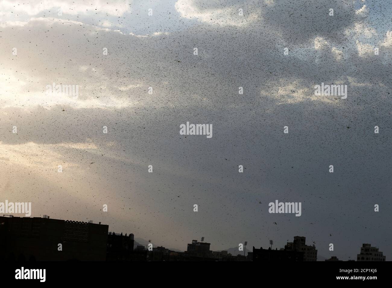 Accide High Resolution Stock Photography And Images Alamy