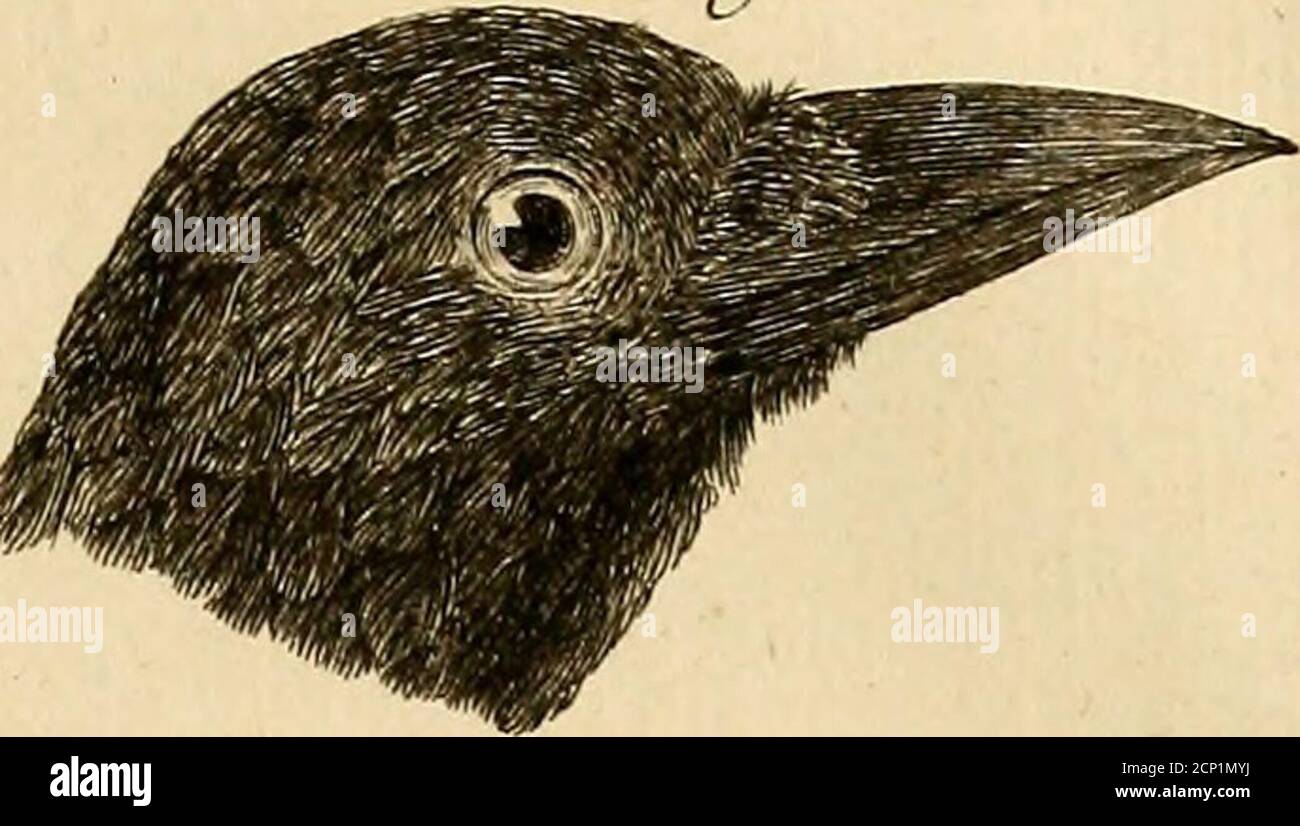 3 Fx High Resolution Stock Photography And Images Alamy