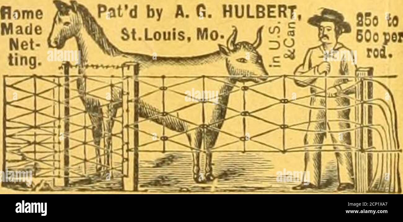 . Ornithologist and oist . e it up.Address, JOSEPH M. WADE. Columbia Street, Dorchester, Mass. BOOKS ON TAXIDERMY- TANIDERMYAXD ZOOLOGICAL COLLECTING. Illustrated. By V. T. Hornaday, .... $2.50METHODS IN THE ART OF TAXIDERMY. 75 Pages of Illustrations. O.Davie. In press. . 5.00These are the Latest and Best. FRANK BLAKE WEBSTER CO., Naturalist Supply IX-pot,■ HvDK Park, Mass. lAGENTS WANTED ON SALARY or commission, to haiullc the new Patent Chemical Ink ErasingPencil. The quickest and greatest selling noclty uver pro-duced. Erases ink thoroughly in two seconds. No abrasion ofpaper. Works like Stock Photo