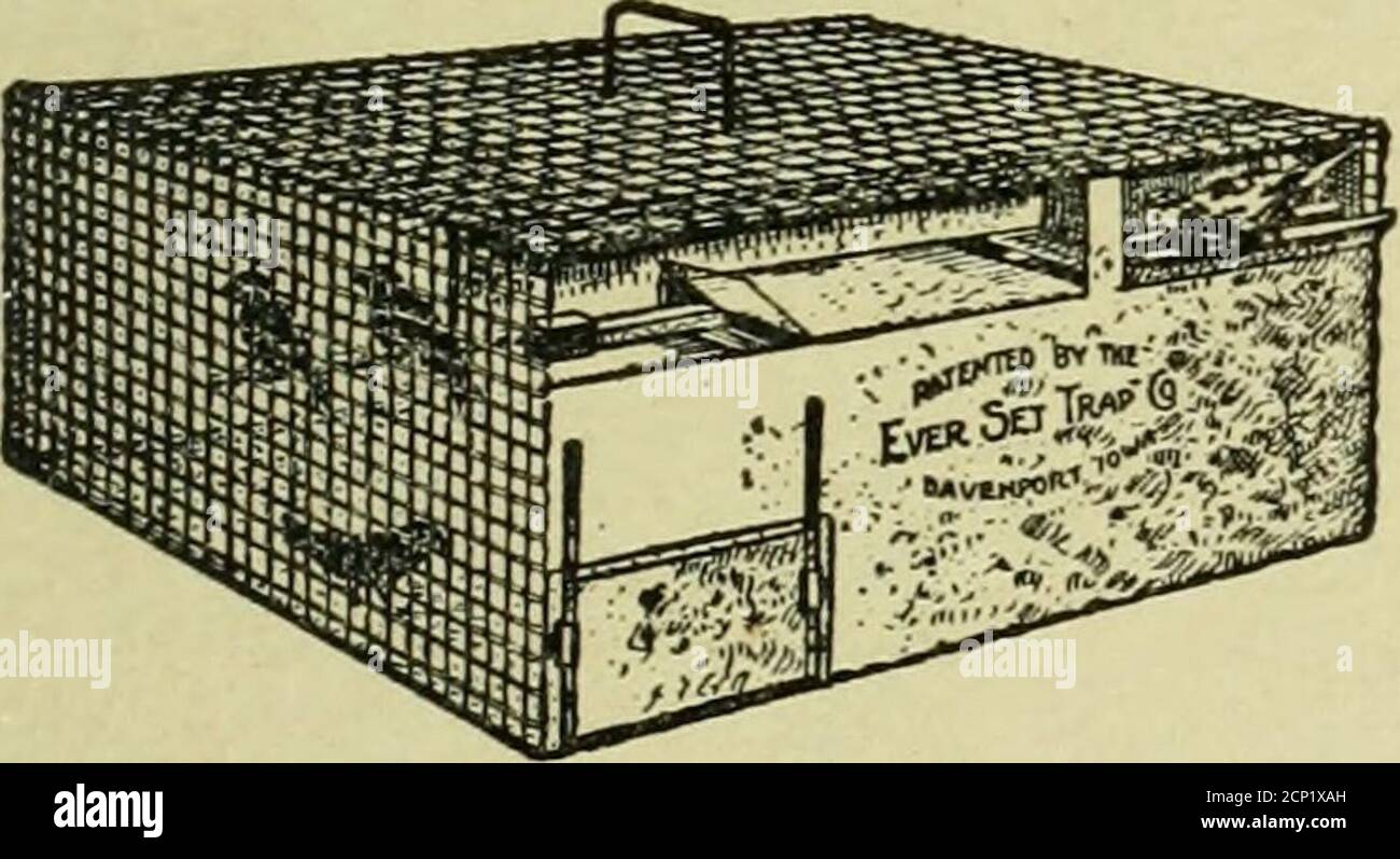 . Bird-lore . $4.00 SPARROWTRAP ONLY (Receiving Cage for Emptying Trap Free) FIFTY sparrows eat one bushel grain everymonth. Ever-Set Trap stops grain losses;saves money; rids your place of sparrowsso other birds will stay. One man caughtsixty-five one day; another 1,005 in twomonths. Strong, heavy galvanized wire mesh;lasts indefinitely. Guaranteed satisfactory ormoney back. Free instructions for setting,baiting. Order direct today at $4.00 each,plus postage. Zone 1 1 2 1 3 4 5 6 7 8 Postage $0.17l$0.17J$0.27 $0.46 $0.65 $0.85 $1.05 $1-23 EVER-SET TRAP CO. 1004 West 15th St. Davenport, Iowa Stock Photo