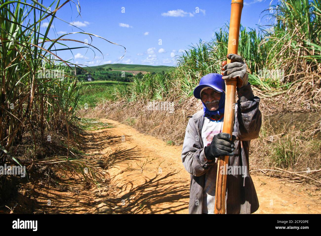 Recife, Brazil. 08th Sep, 2020. Rural work in Pernambuco, amid a ...