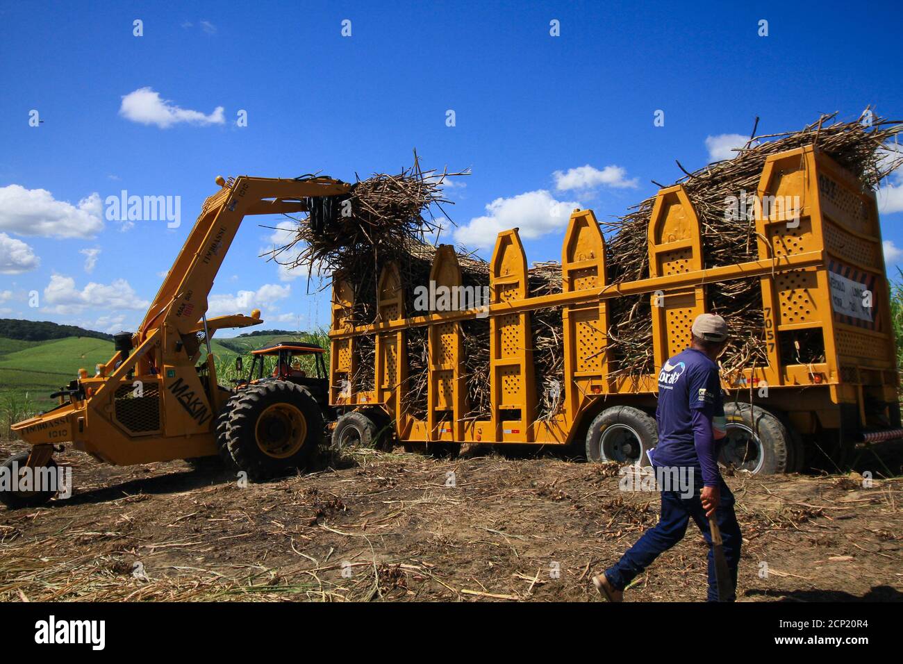Recife, Brazil. 08th Sep, 2020. Rural work in Pernambuco, amid a ...