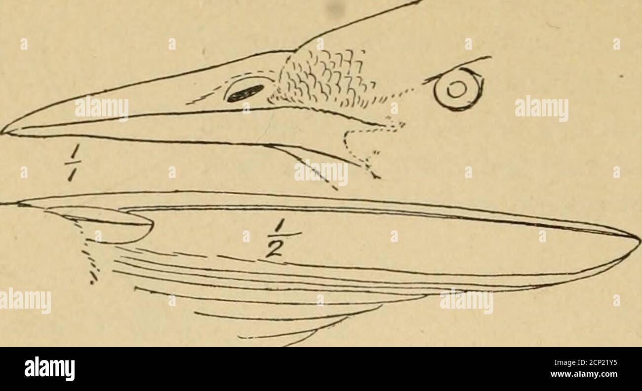 Page 10 Crows Feet High Resolution Stock Photography And Images Alamy
