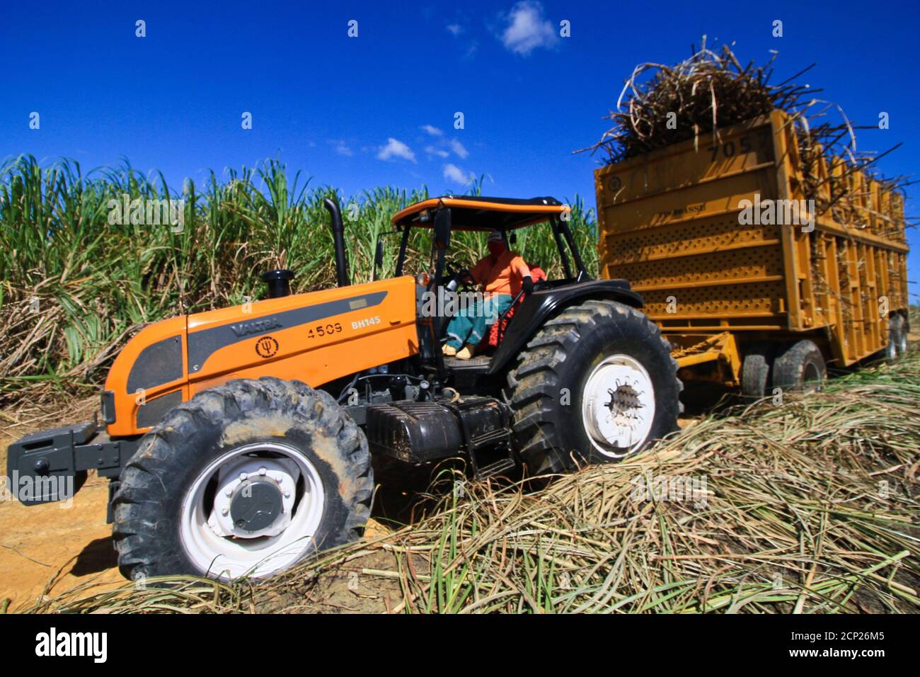 Recife, Brazil. 08th Sep, 2020. Rural work in Pernambuco, amid a ...