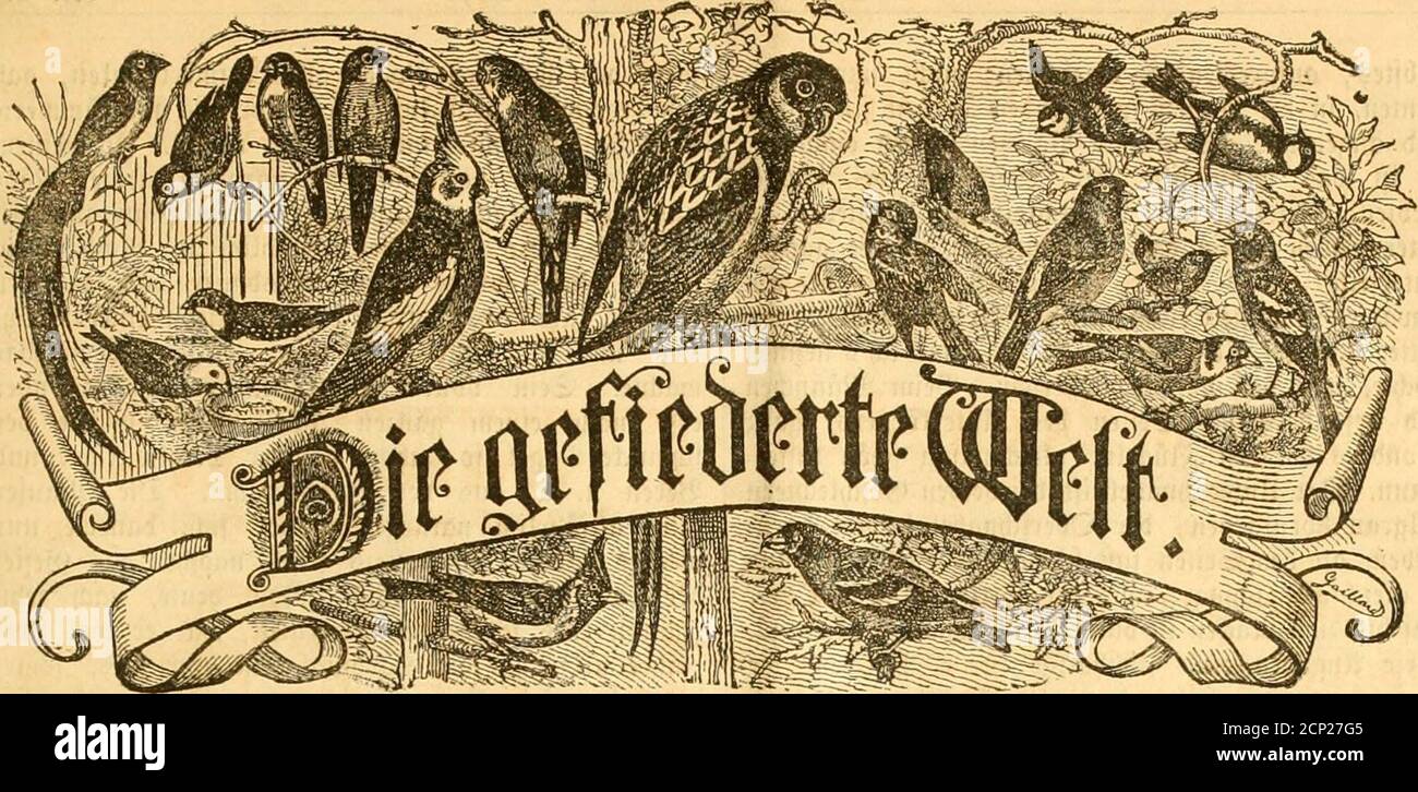 N 50 12 12 hi-res stock photography and images - Page 21 - Alamy, image size:1300x726