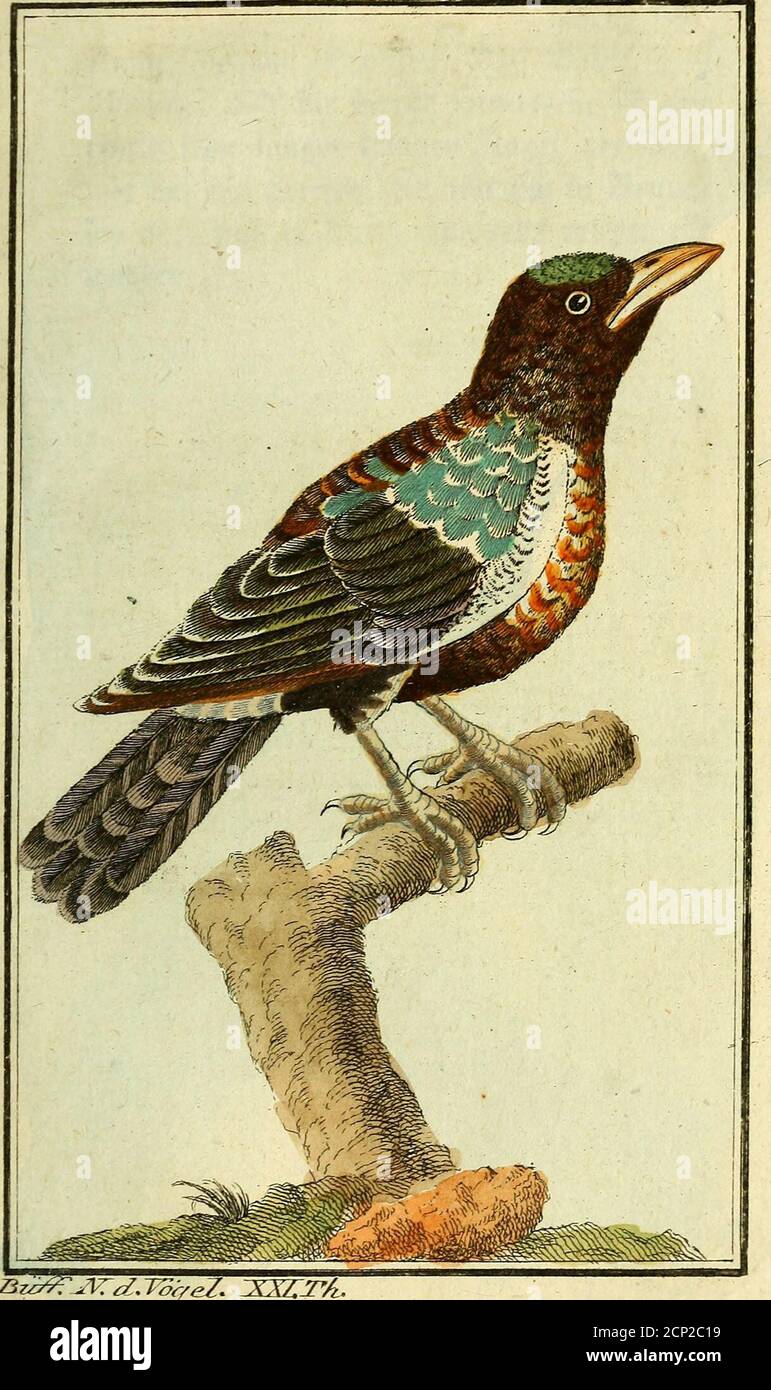 Ret High Resolution Stock Photography And Images Page 15 Alamy