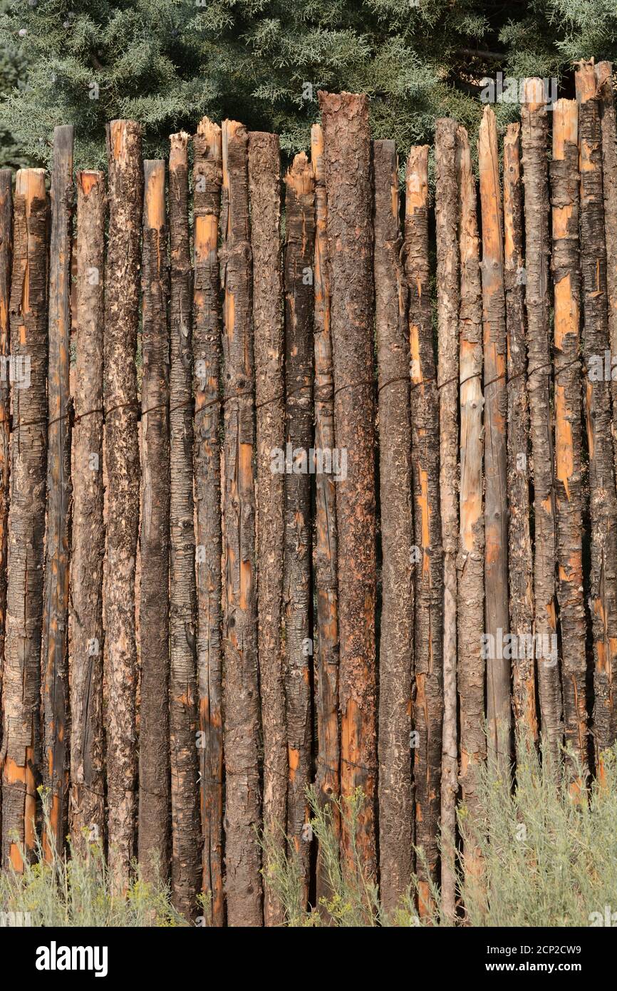 A rustic type of yard fencing, known as a coyote fence, popular in the American Southwest. Stock Photo