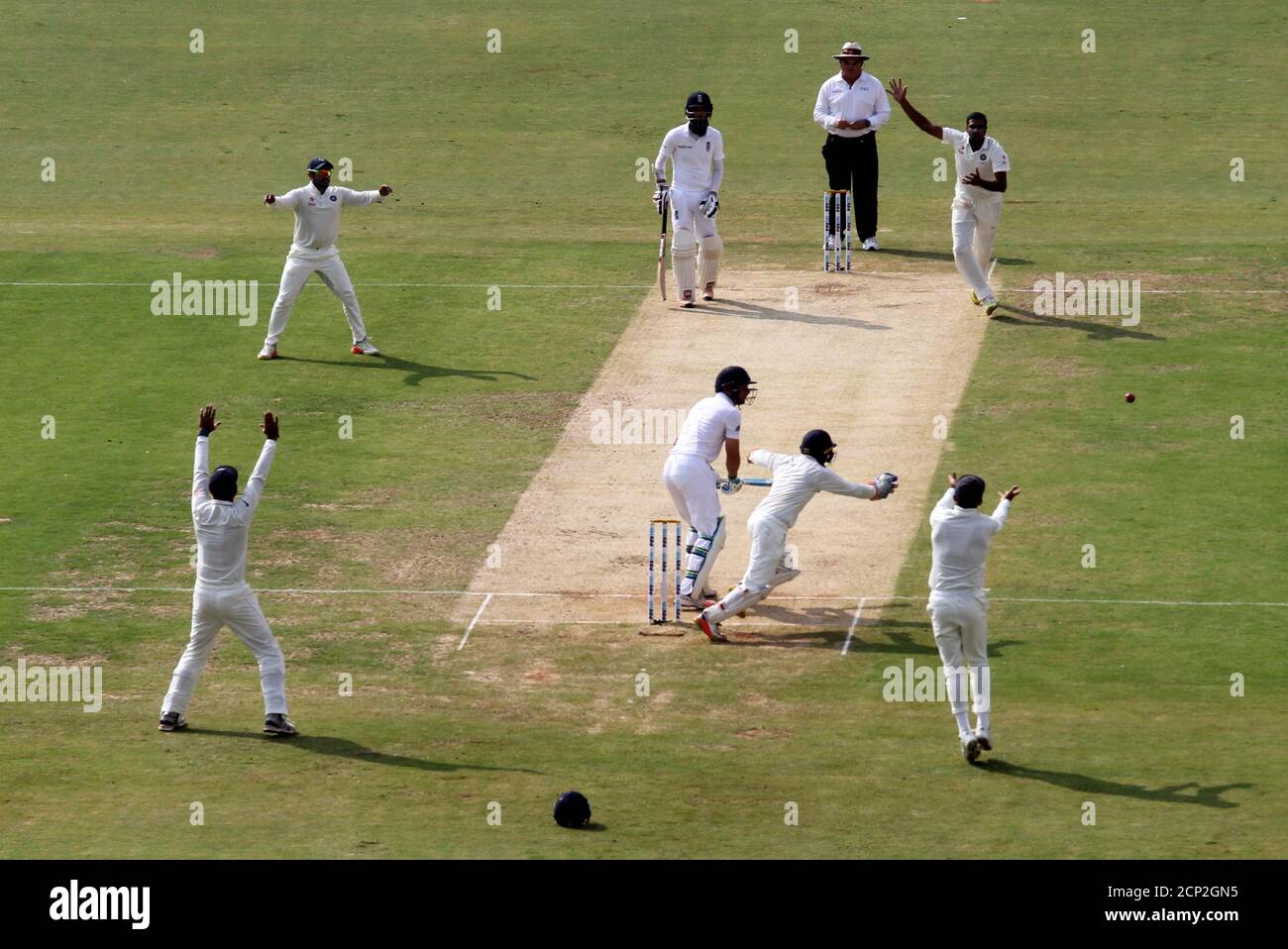 Cricket - India v England - Fifth Test cricket match - M A Chidambaram Stadium, Chennai, India - 17/12/16. India's players appeal for a LBW. REUTERS/Danish Siddiqui Stock Photo