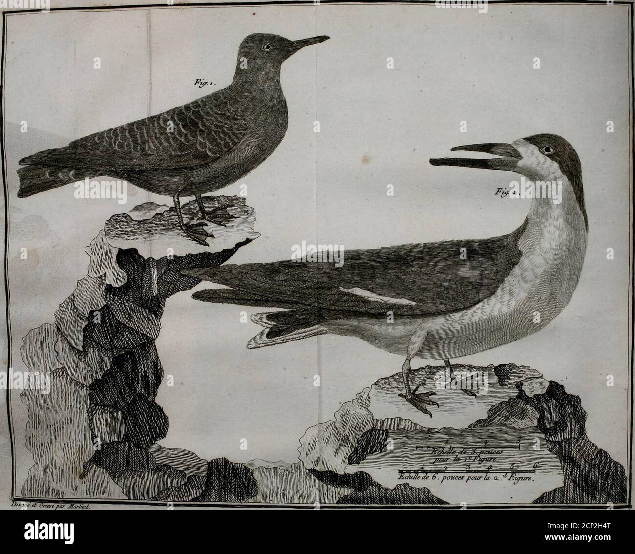 Mxxi High Resolution Stock Photography And Images Alamy