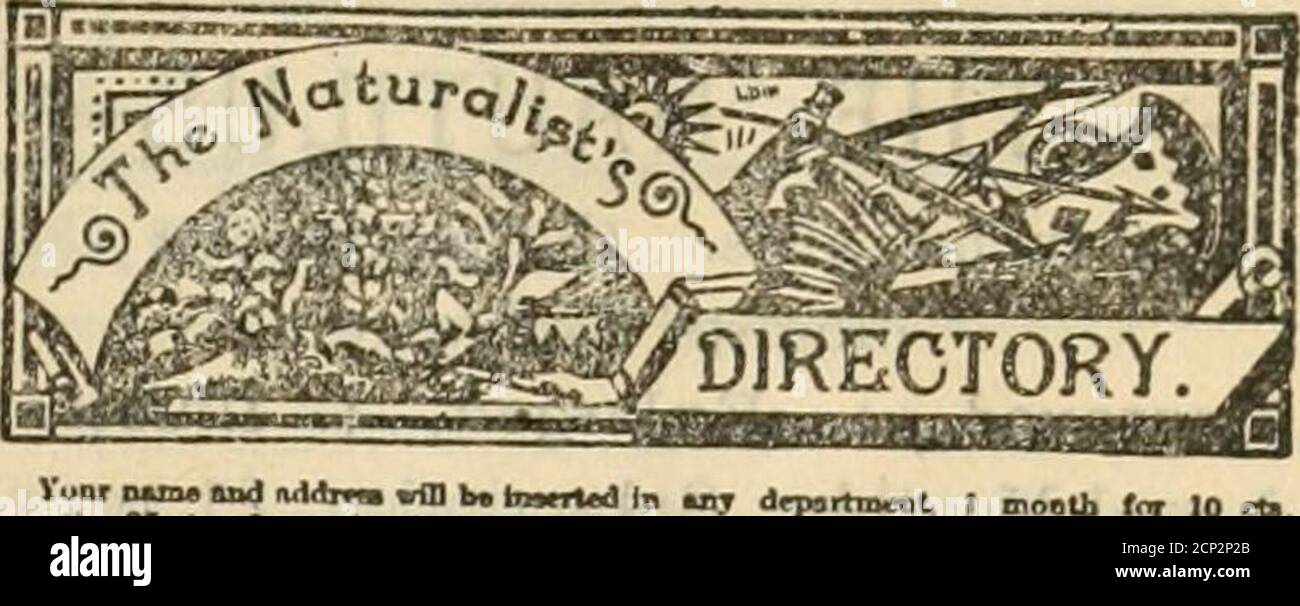 The Oist Iiiljli Wr Issutd A Uew Check Ing Li St Which We Ialled The Oolo Gist S Cheeking List It Contaius Thename Of Every North Anierican Bird Arranged And Munljered According Tothe A O U