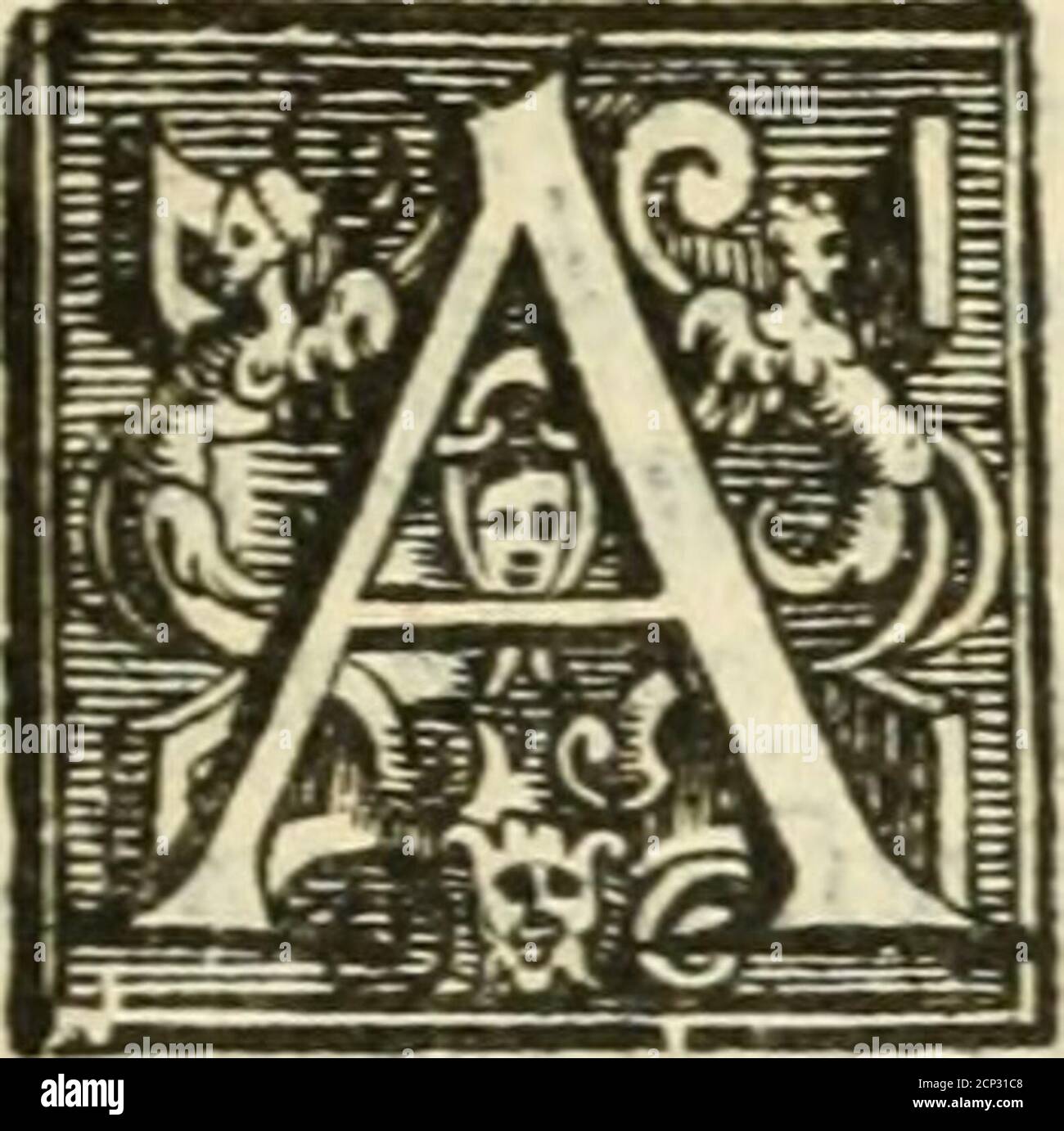 . Andreæ Alciati emblemata cvm commentariis Clavdii Minois...: & notis Lavrentii Pignorii Patavini : nouissima hac editione in continuam vnius commentarij seriem congestis, in certas quasdam quasi classes dispositis, & plusquam dimidia parte auctis . t de Auciore nouatiDtSfaribiM ^otiSy turba nouena ^ Dea : tA^DT^EAS cecmts quid tum? d^xere priores: Alterapars,/acilis/ed JA^VS explicuit •Hoc cpus 5 hic labor eH, qua^ non compommtis, tlU Et bene percipere, O* rite docere rades .Pieridum ^rafes yeniens ad iurgta Thcebus (/ompontt litem ^ conctltatqs animos :Imgite foedus (ait) 3^1 u/k concordtte Stock Photo