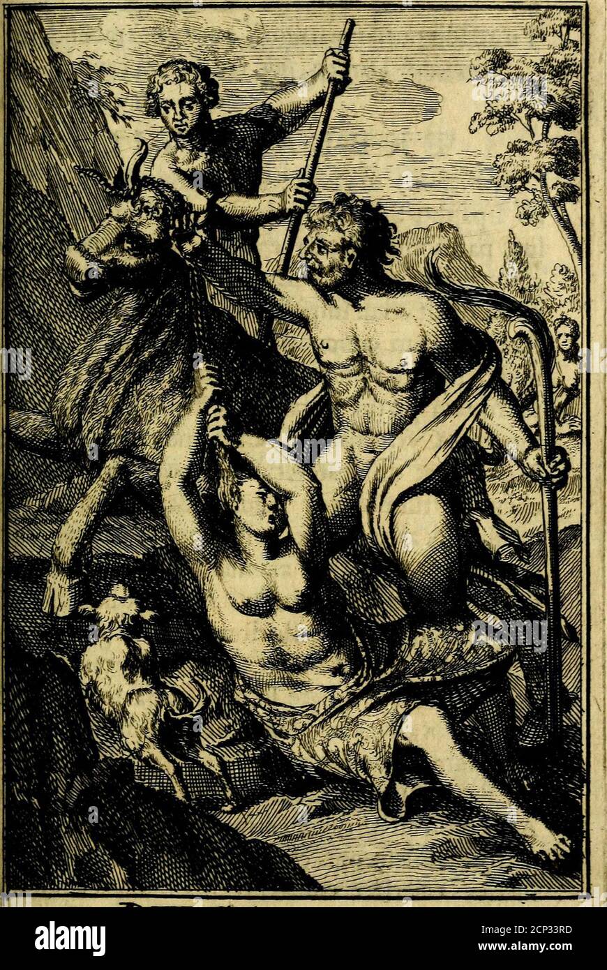 . Pictura loquens; sive, Heroicarum tabularum Hadriani Schoonebeeck