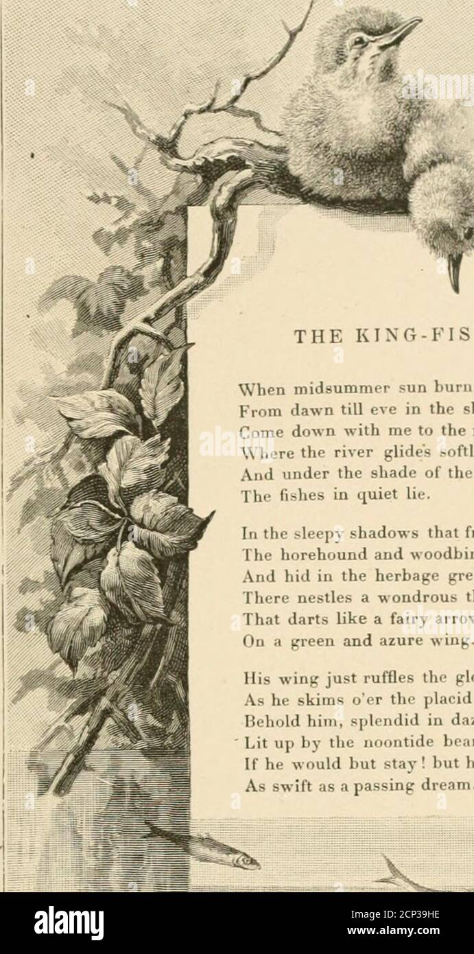 darts stream live on Page 2 King Of Darts High Resolution Stock Photography And Images Alamy