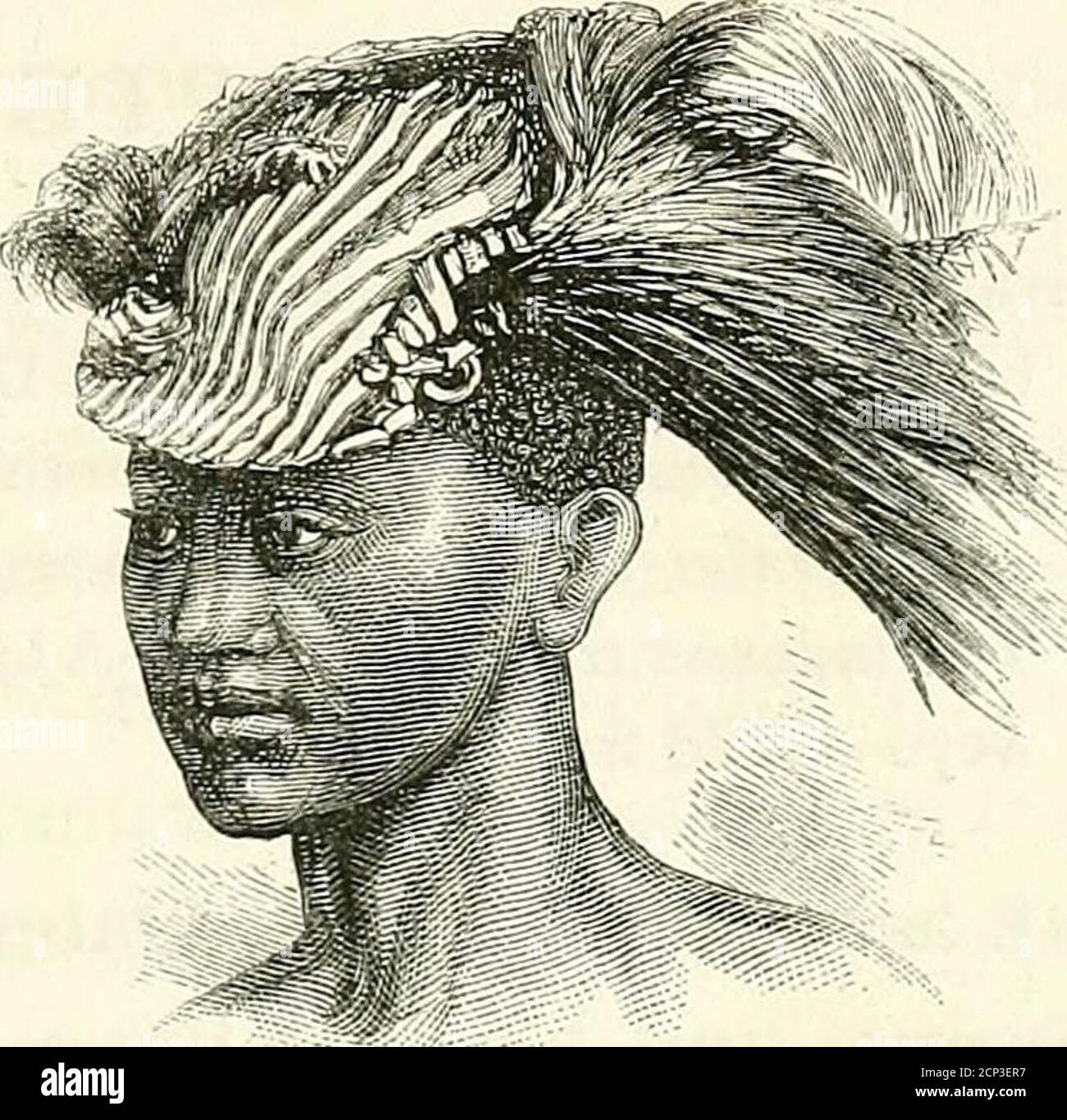 . Matabele land and the Victoria Falls : a naturalist's wanderings in the interior of South Africa, from the letters and journals of the late Frank Oates . FEATHER HEAD-DRESS. KUMALA RIVER. 57. River, now dry, which we crossed, outspanning amile or two further on. The country here is open,park-hke, and undulating, extending away in anearly level plain to the right. After we hadstopped, a numberof impudent Kafirscrowded round thewagfo-on. One madea fearful row, at lastcoming to entreaties,saying we had set theveldt on fire. Starting again at4 P.M., we next wentover rising ground,the country get Stock Photo