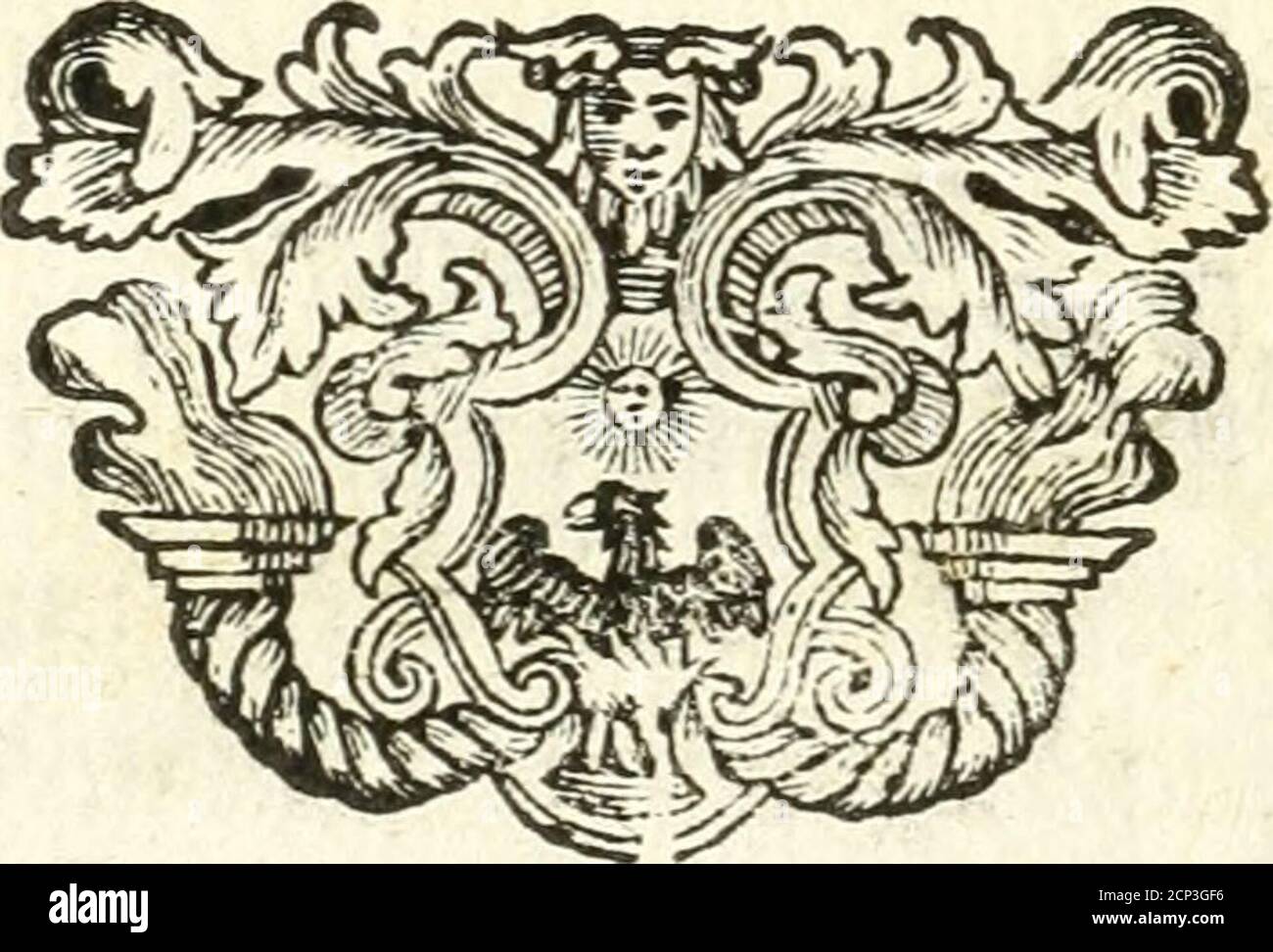 Bilia High Resolution Stock Photography And Images Alamy Bilia High Resolution Stock Photography And Images Alamy