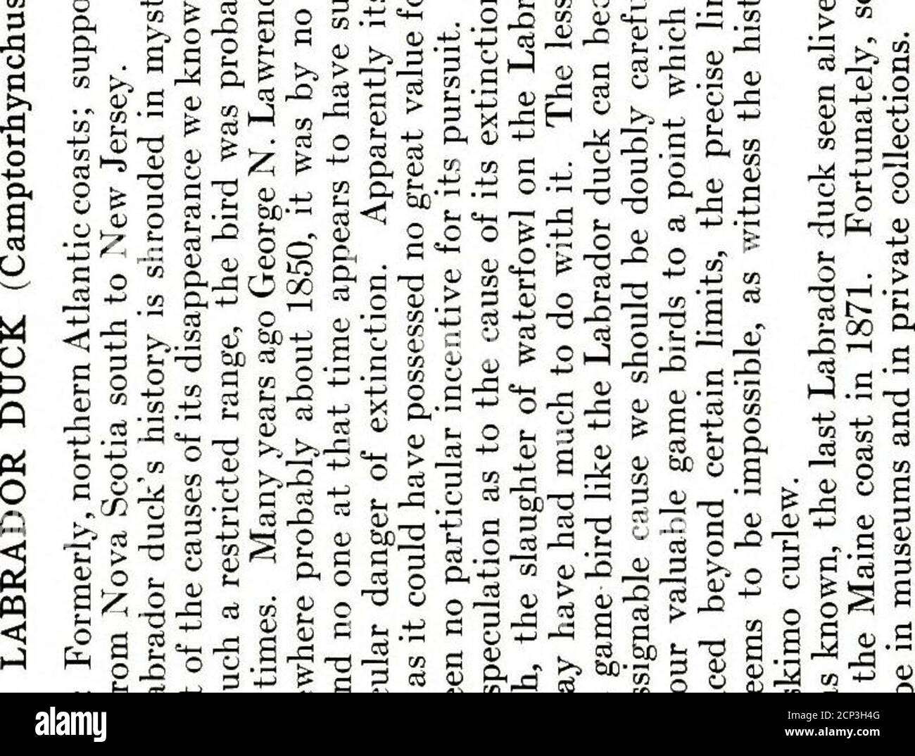 . The book of birds : common birds of town and country and American game birds . M^ o 3 :: rfd -^g -Q  Gm O rf 2 0) -^ - -5 OX..S g--^ ^ 1^-^ a ^o -2 =a oj Jja tu ?,-° &gt;&lt; 5 3 p. .=( ja s u o B ,2 3 « «c P, a Si to u e S 1 1 g tH 0) ^ .«i-p ?i 31„ g-- „ g P-£^S^13 S.3 ^^^ a t&lt; -a H D-a;^t»3^S3 os-^-t-ets-^-at.o, 3= ■- S to g-3 cS P- 1 &lt;u „ a §1.^ b o o — •*- d o C5 cj d   c -(J -- -■ -d ;::; .w d ^ a=. 3 41 0^4^:= o 0 4-1 03 fc- 3(Mp+3 to IJ3 .B- -3 3 oj S Q.^-^^f;! 3 ?^ 41^ r#,4J « ■P-Q w 3    a -. taj3 *s■a b b^ ■■«-§ 2 . S K &gt; 33 0-- &gt;&gt;§. ^=4- H 3 a B rt oj t^ ^■S o 4) Stock Photo