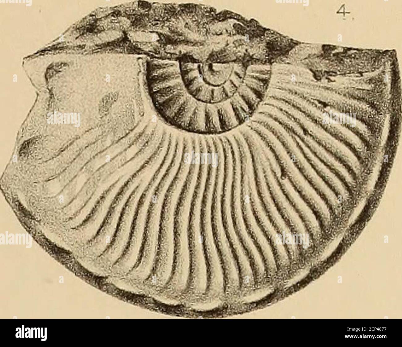 . Report of the Geological exploration of the fortieth parallel . UJ 2 ...