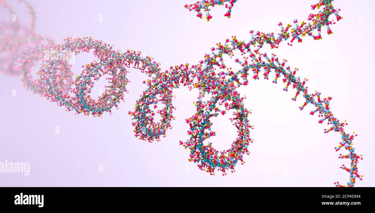 Ribonucleic acid (RNA) chain, 3d illustration. Stock Photo