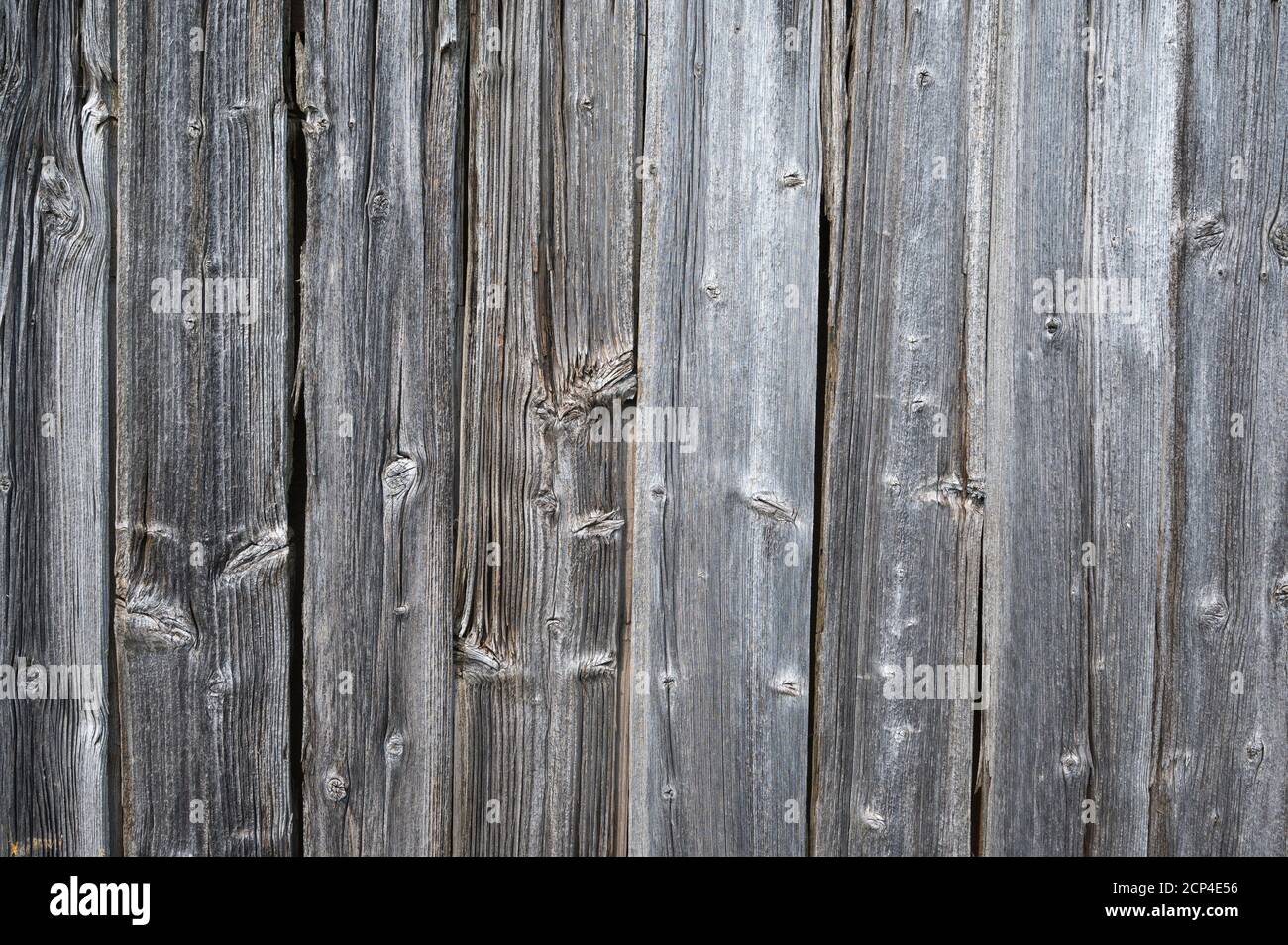 Weathered, wood paneling, boards, silver gray Stock Photo