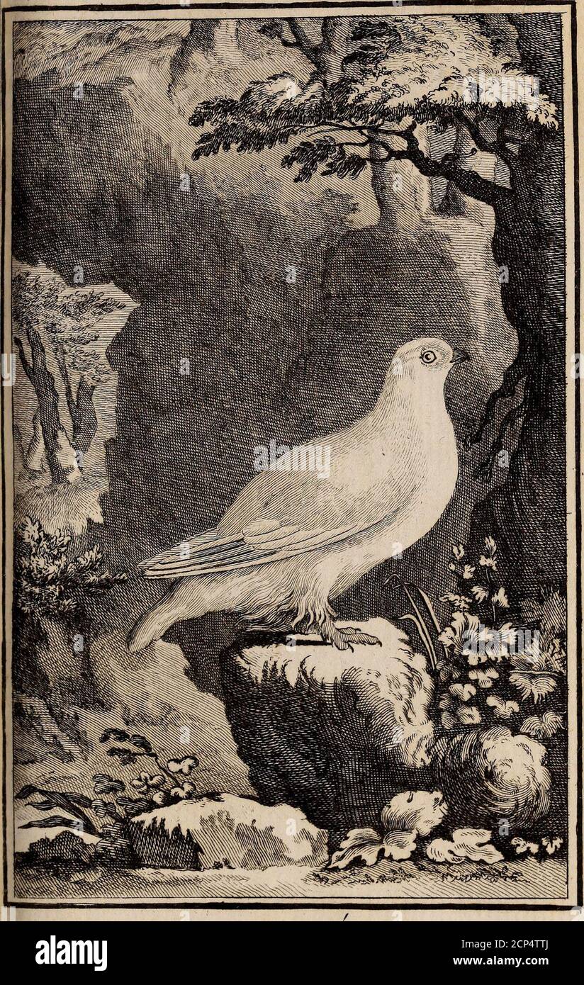 Hiji High Resolution Stock Photography And Images Alamy