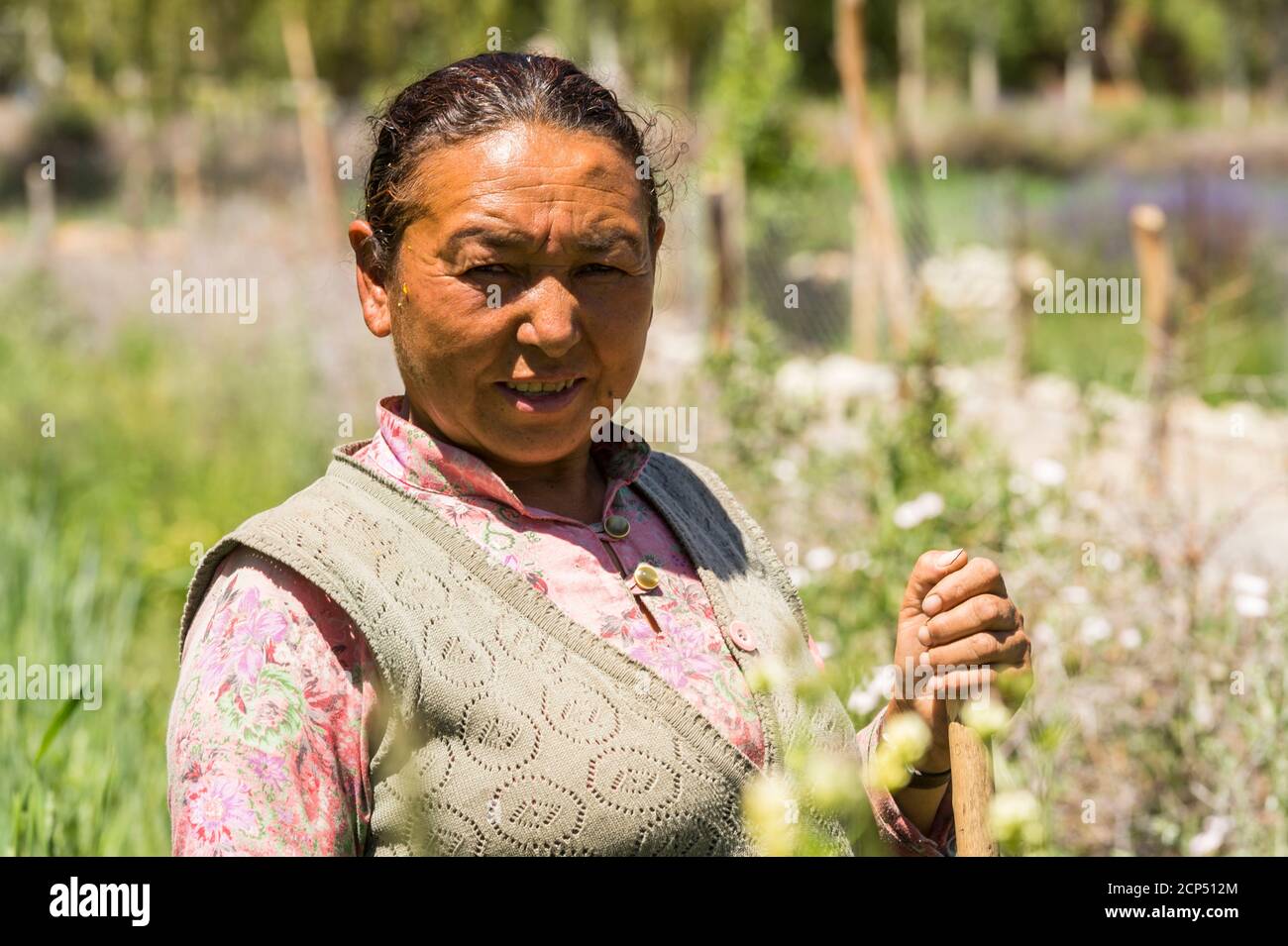 the Nubra Valley with the village of Hundar, woman at work Stock Photo