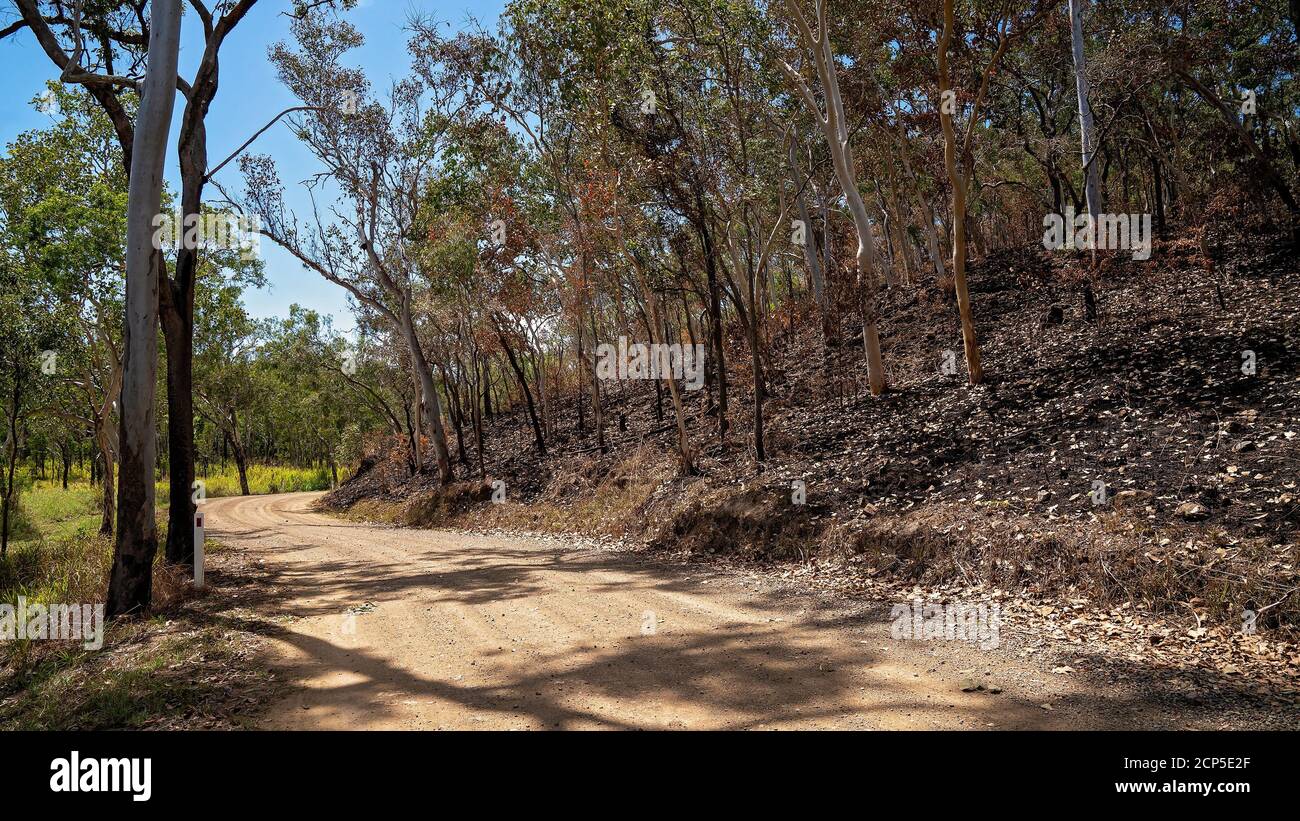 Controlled burning of bushland to reduce the hazard of a bush fire