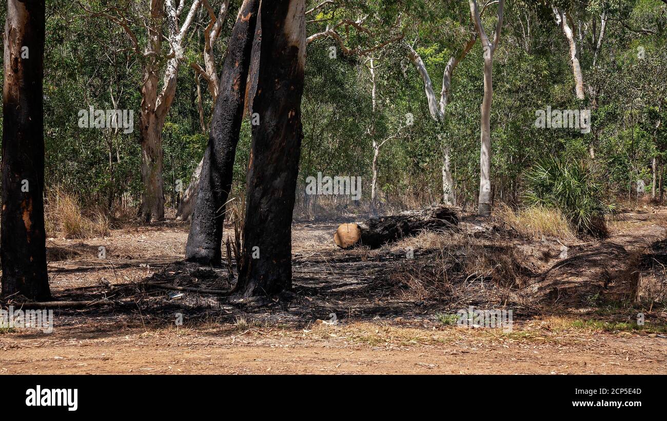 Controlled burning of bushland to reduce the hazard of a bush fire