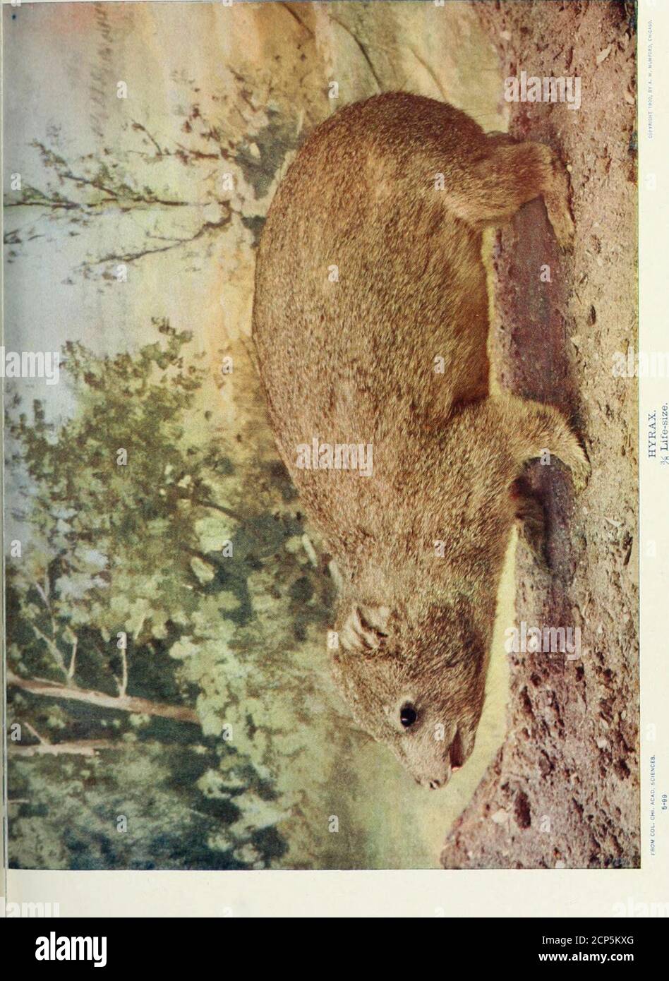 page 2 nted high resolution stock photography and images alamy