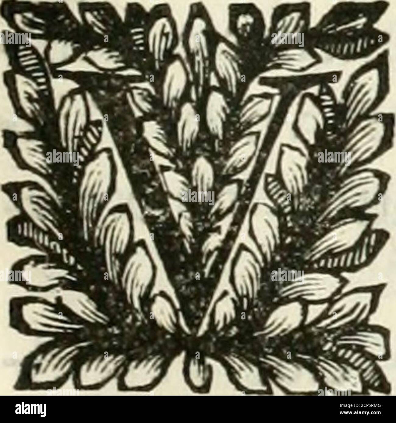 Mammo High Resolution Stock Photography And Images Alamy