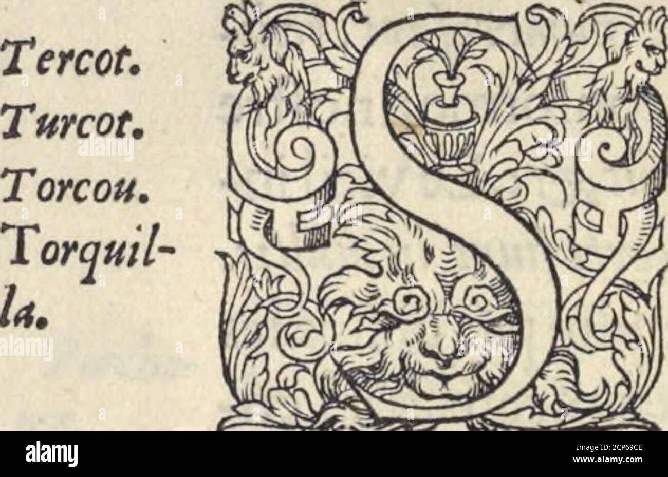. L'histoire de la natvre des oyseavx : avec levrs descriptions, & naïfs portraicts retirez du natvrel, escrite en sept livres . TorqttHU,& Turbo en Grec,&latin.Linterprète de Theochrite difoit,Sifofigis:Les Irmçoys prononcent Turcot,Tercot,ou Torcot.. Stock Photo