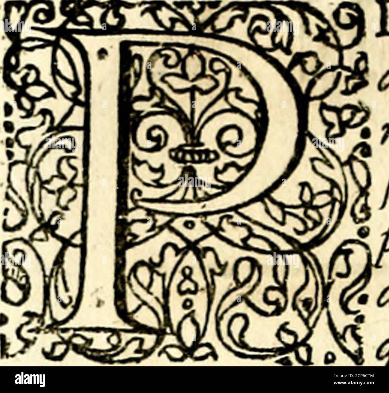 Uex High Resolution Stock Photography And Images Alamy Uex High Resolution Stock Photography And Images Alamy