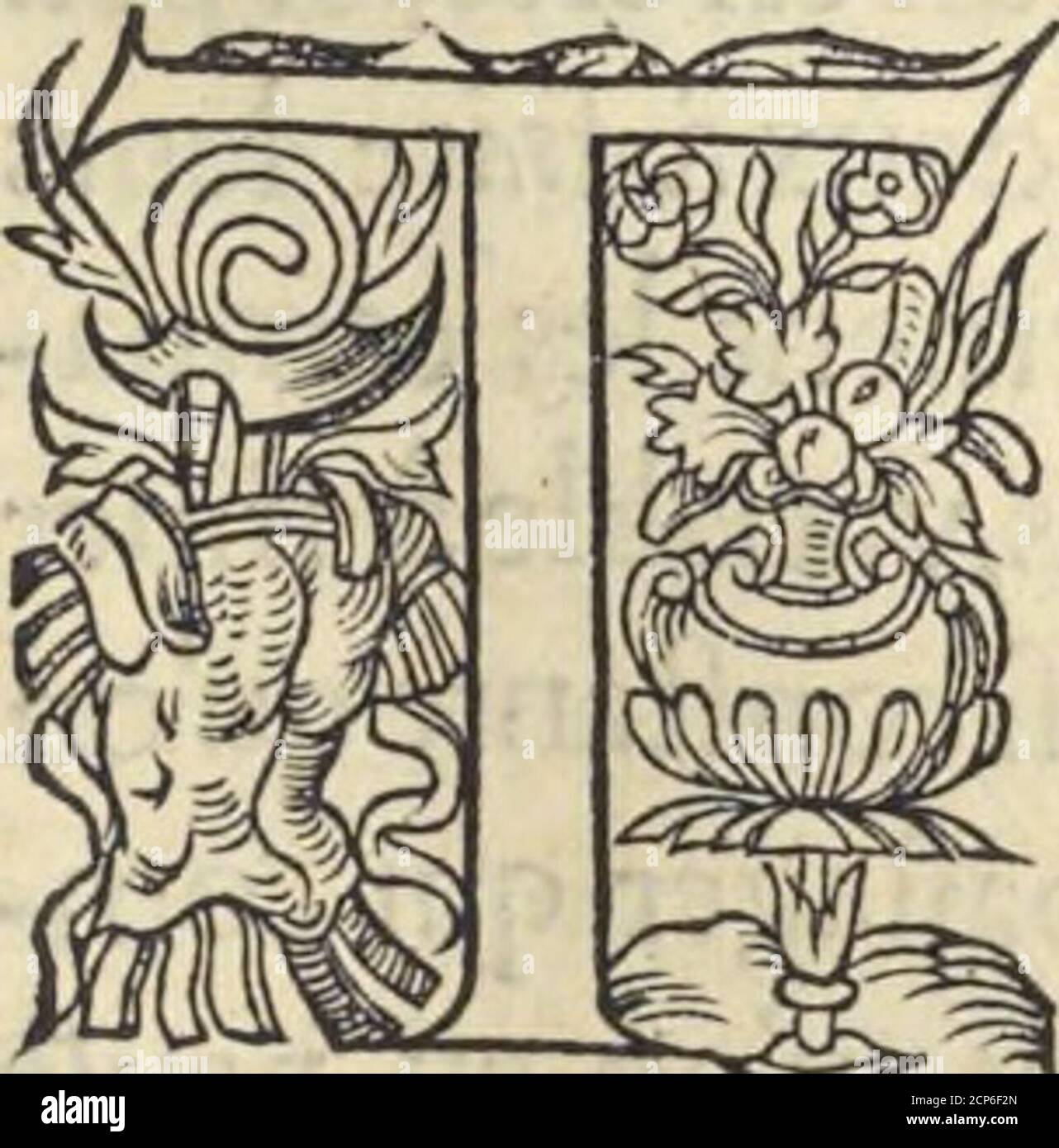 . L'histoire de la natvre des oyseavx : avec levrs descriptions, & naïfs portraicts retirez du natvrel, escrite en sept livres . De la Perdris blanche.- C H A P. X V 11. O V T ainfiqueleFrancolin,&Cocdebois,quiontàhanterles froides montagnes,ont leurs iambes & pieds couuertes de Peràmplumes,tout aufsi celle Perdris blanche, qui hante fcmblables hlanc^-contrees,ayant les iambes & pieds couuerts déplumes fut nô-mee en Latin lagopu*.Car qui voiroit vne de fes iambes,dhoit Ugopu.proprement que c eft le pied dvn Lieure.Pofsible quAnftotene 1 acogneuènomplusquelOfre,entendu quil cognoift le Lieure Stock Photo