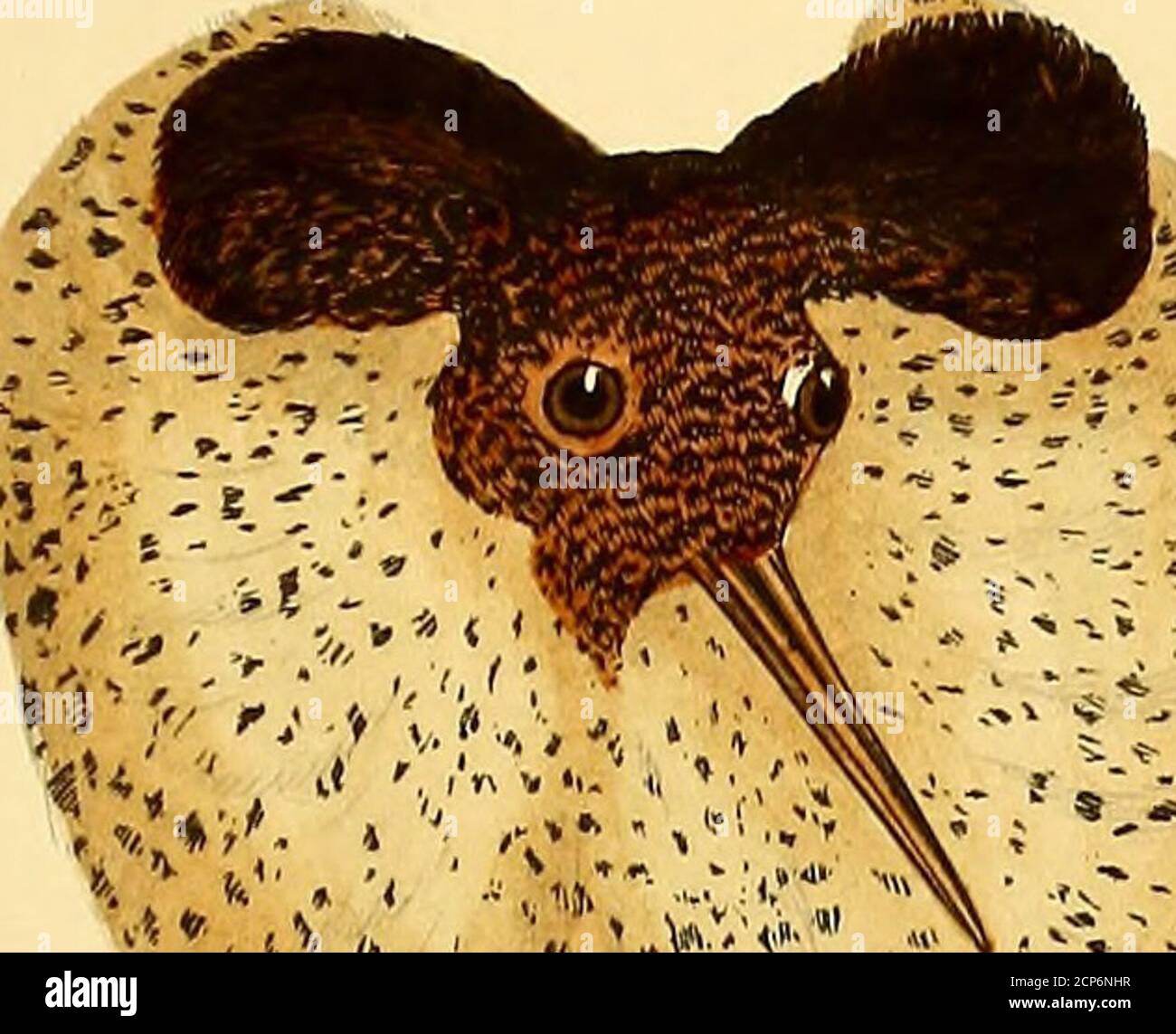 Variee Hi Res Stock Photography And Images Alamy