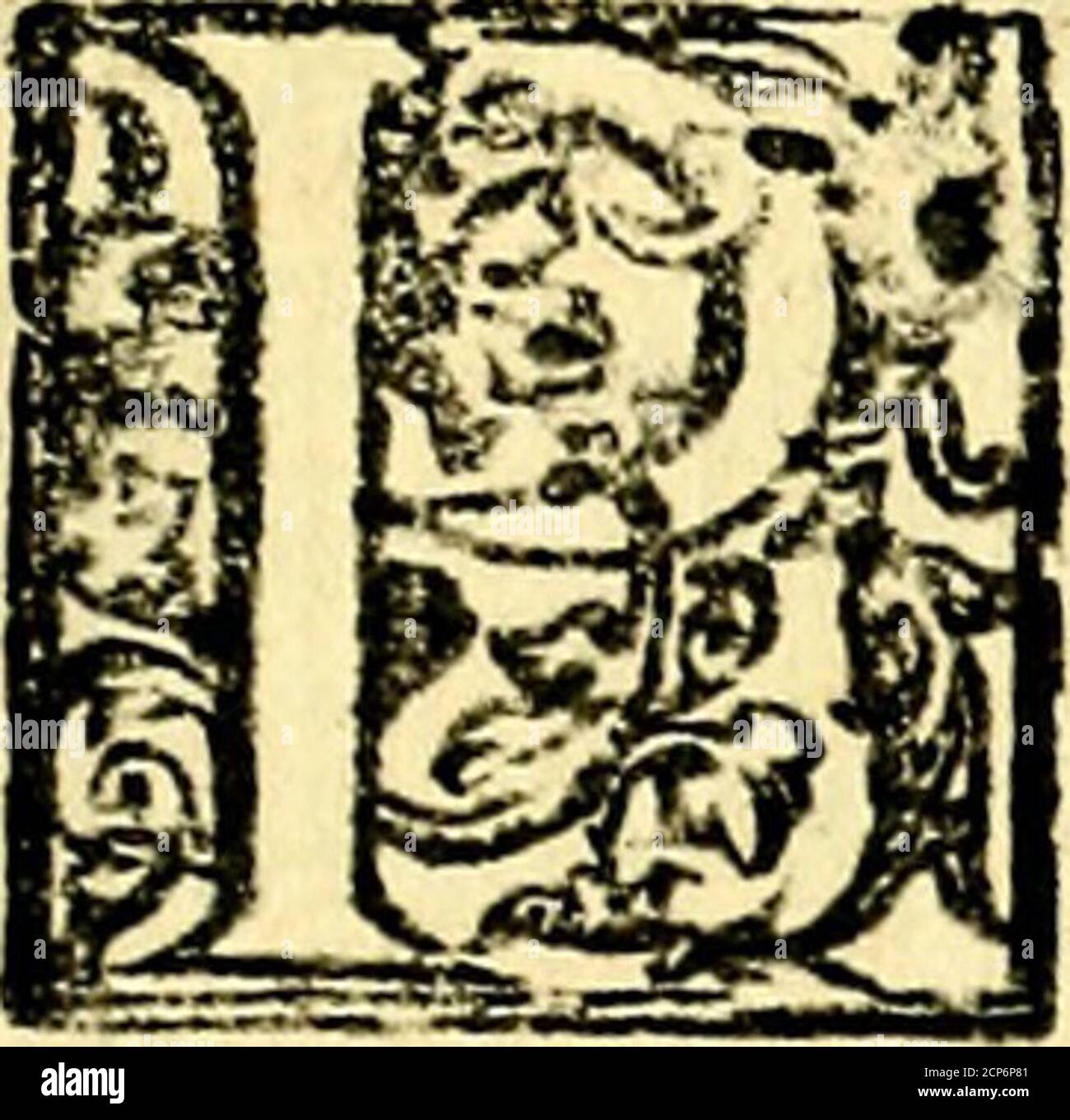 . Le imagini dei degli antichi . Le Gratis De gli Antichi. 53. LE G R A T I E Ofcia che riabbiamo difegnata Venere ma-dre di Amore già da noi ritratto parimente»hora è ben honefto, che diciamo delle Gra-fie^ delle H ore infieme, le quali con quel-la vanno {empre in compagnia , Perciochecome Venere , & Amore fono cagione , chevenga fuccendo tuttauia nuoua ptole, &: che perciò fi con-ferui la humana generatone, così le Gratie tengono i morta-li infieme raccolti, perche i benefici) , che à vicenda fi fannogli huomini lvno con laltro, fono cagione,chelvno aliaitroè caro , & grato , onde ftanno con Stock Photo