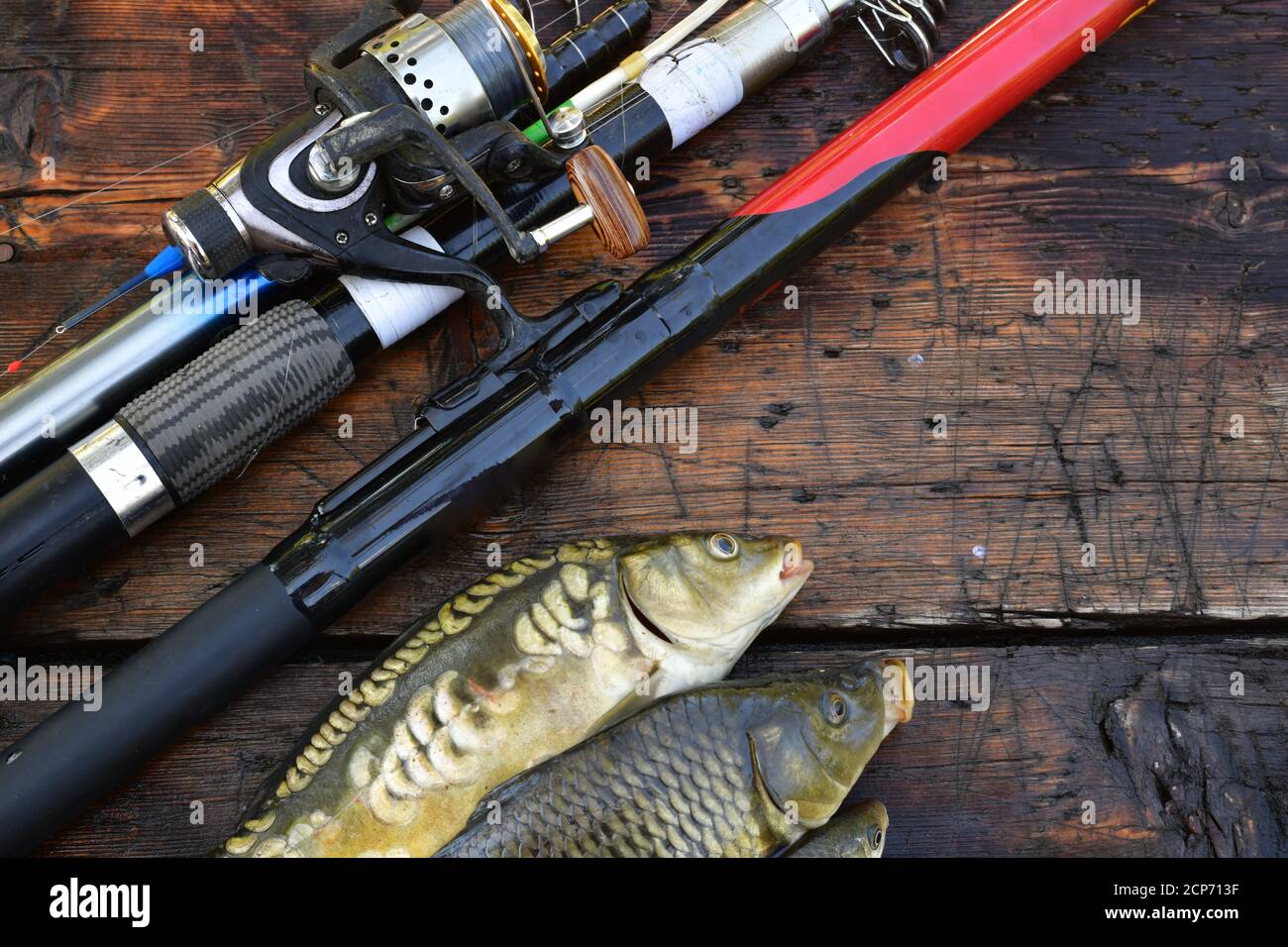 https://c8.alamy.com/comp/2CP713F/fishing-rods-and-spinning-with-coils-on-a-wet-wooden-background-with-three-fish-in-a-row-2CP713F.jpg
