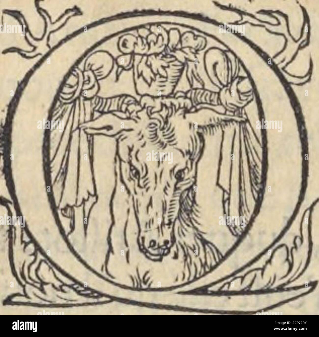 L Histoire De La Natvre Des Oyseavx Avec Levrs Descriptions Naifs Portraicts Retirez Du Natvrel Escrite En Sept Livres Efte Quil Les Deferit Entre Les Oyfeaux Paluftres Nous En