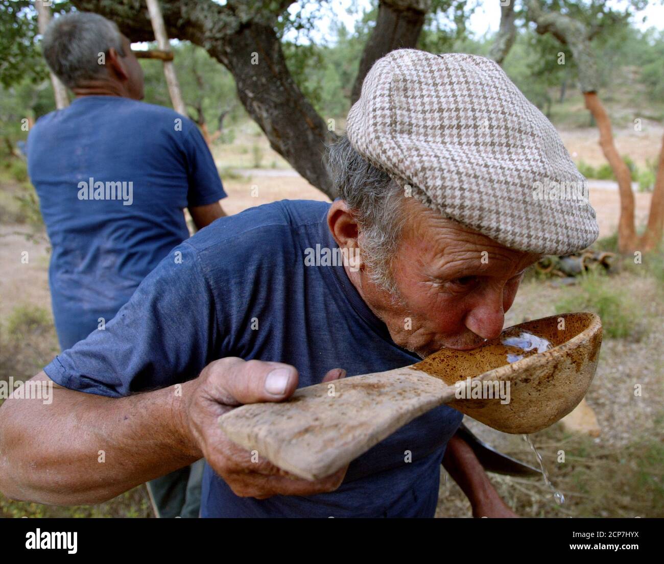 TO MATCH FEATURE - PORTUGAL CORK - Farm worker Antonio Boneco drinks water from a 'cocho', a giant spoon made of natural cork, on a farm at Santana do Mato in the Portuguese Southern Province of Alentejo in this picture taken July 1, 2003. Boneco strips bark from cork trees on the farm in Portugal which is the world's biggest producer of natural cork, a time-consuming business which could be squeezed out by plastic stoppers that are far easier to make and claim to preserve the taste of wine better.  REUTERS/Jose Manuel Ribeiro Stock Photo