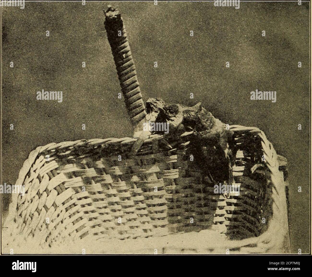 I was hungry and you gave me food hires stock photography and images