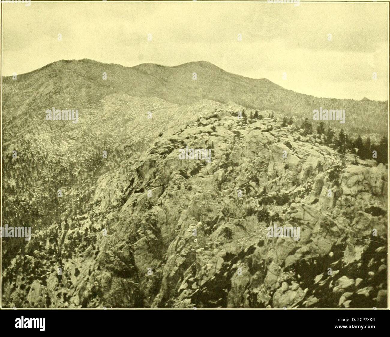 . An account of the birds and mammals of the San Jacinto area of southern California with remarks upon the behavior of geographic races on the margins of their habitats . trawberry Val-ley; at extreme right center is the edge of Tahquitz Valley. The patchesof brush in the right foreground are chiefly composed of chinquapin(Castanopsis sempervirens) and manzanita (Arctostaphylos patula). Herei- the summer borne of Passerella iliaca stephensi and the forage groundof I-, aid ruins speciosus, Imtli being animals of the upper Transition zone.The trees on the ridge at the right are chiefly Jeffrey p Stock Photo