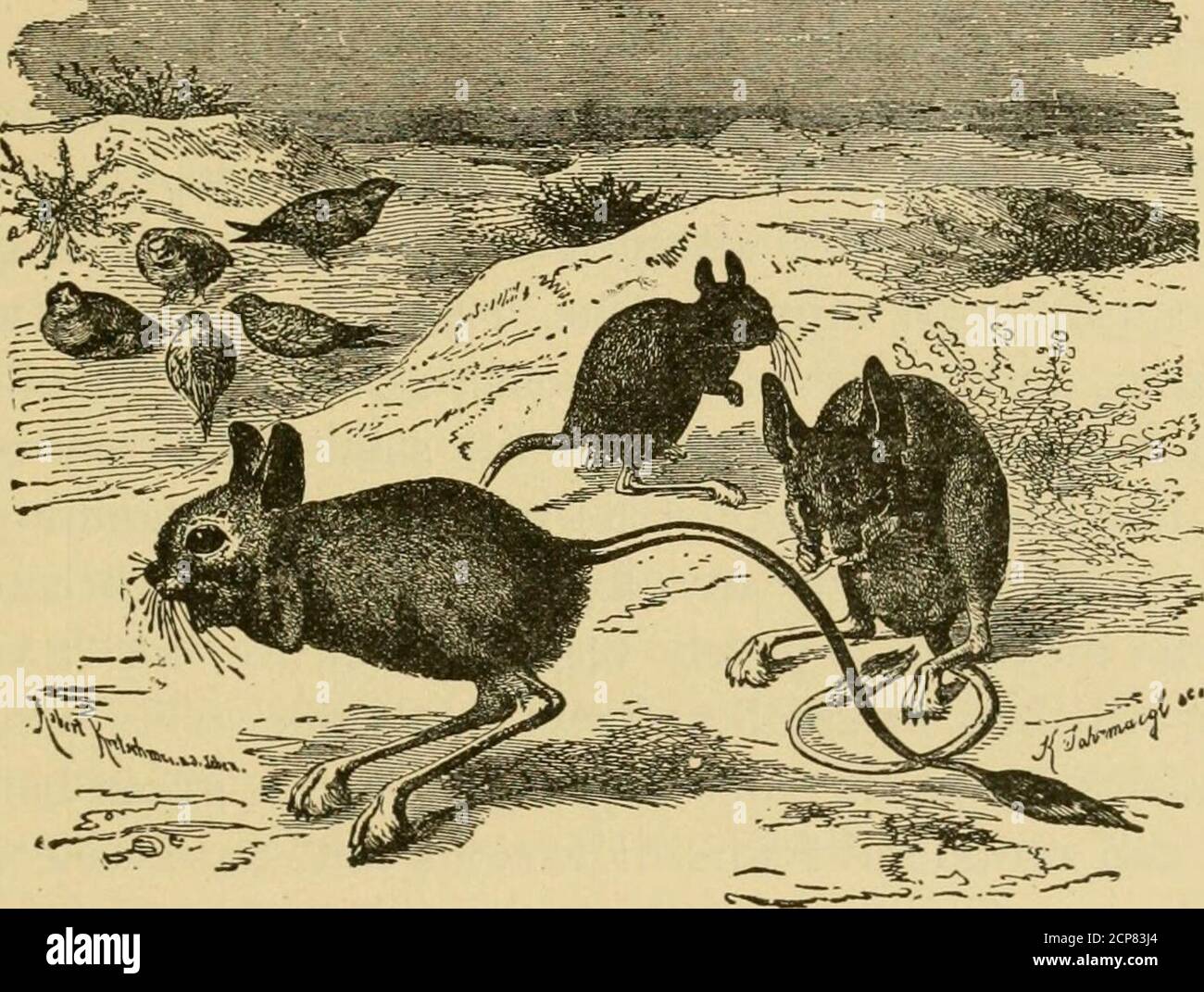 Tumultuous trip hi-res stock photography and images - Alamy