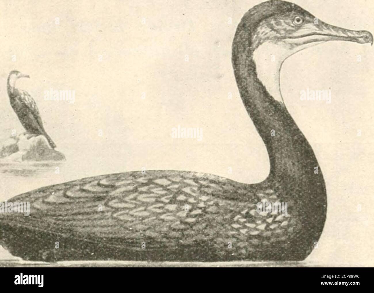 Page 4 - Twelve Smaller High Resolution Stock Photography and 