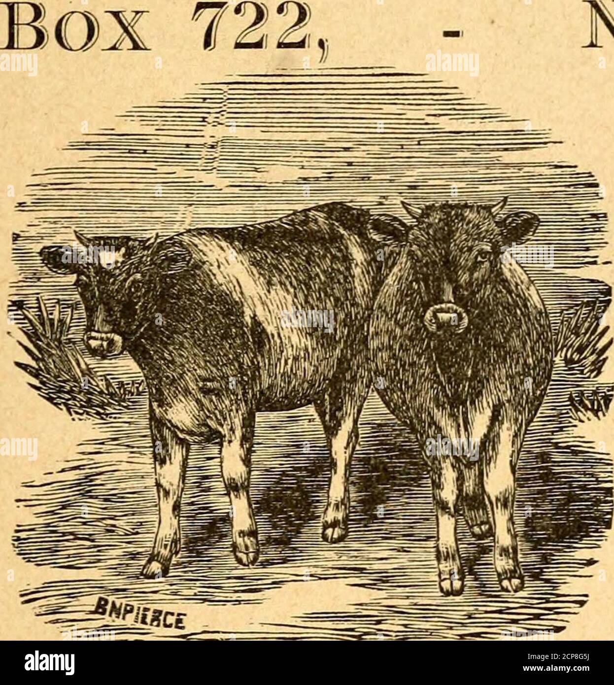 The Wyandotte fowl; its general characteristics and advice on rearing,  mating and breeding with a chapter on judging of exhibition birds . ^> #  Do not buy an Incubator until you