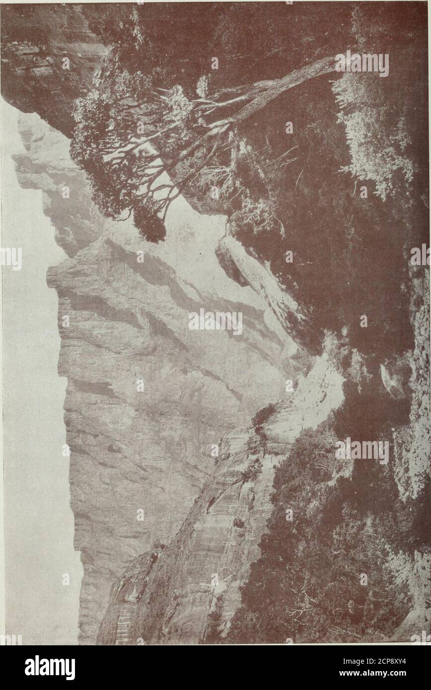 . Natal province : descriptive guide and official hand-book . » O UI oc/j o — a: -F- UJ 336. COCD OCO 3cc o CD OO CC CD NIAII,1 KAN.WAY STATION [0 CHAMP/ M. I. templal ing a visil to < Ihampagm I istle independent ly ol vill find the I nnersdale-Winterton Branch Railway line to Loa Vday:-, ox wagon journey of Champa [ni I istle. Intending touii hemsi in immunioal ion wil h the proprietor of h< Master there, who will supply all information, FROM GOURTON TO UI.UNDI (TABAMHLOP1Ulundi op Tabamhlope, as ii is now called pasl ^- Polici iilit- l.nnc.rsdalc and Winicrion Railway line has now pen Stock Photo