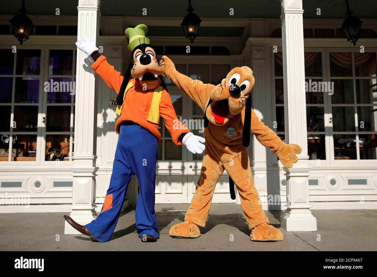 Goofy Disneyland