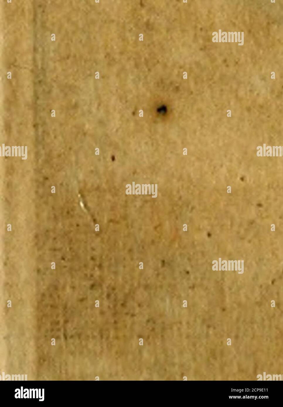 . Dactyliothecae, seu Annulorum sigillarium quorum priscos tam Graecos quam Romanos usus, ex ferro, aere, argento & auro promptuarii ... Collectis aliunde & ineditis & editis annulorum figuris auctior; . Stock Photo