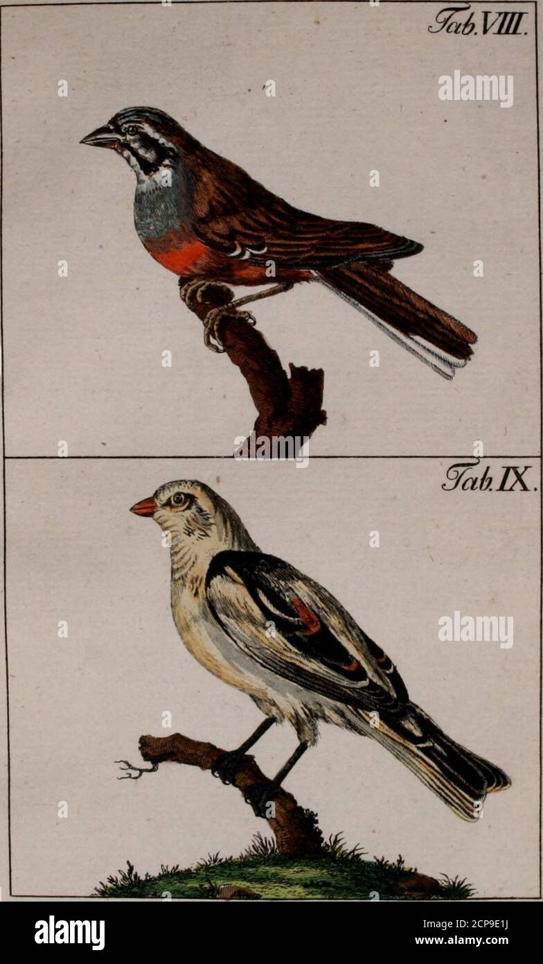 Fjc High Resolution Stock Photography And Images Alamy