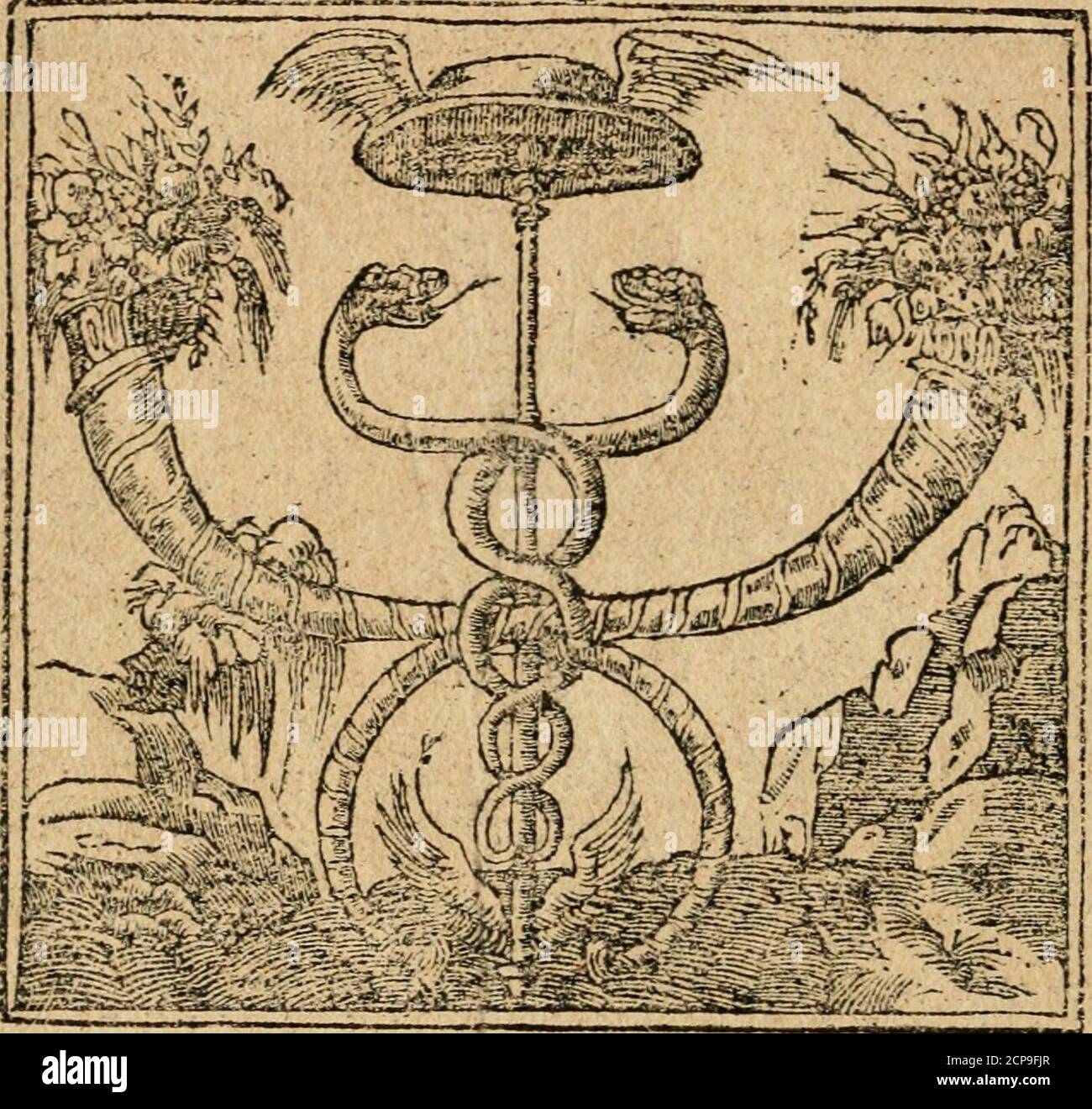 Cafra Hi Res Stock Photography And Images Alamy Cafra Hi Res Stock Photography And Images Alamy