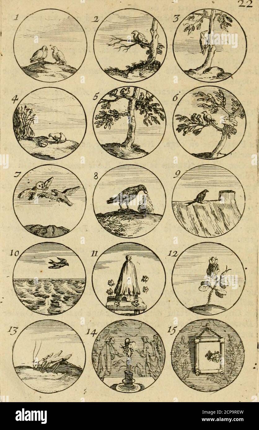 vans rouge perroquet