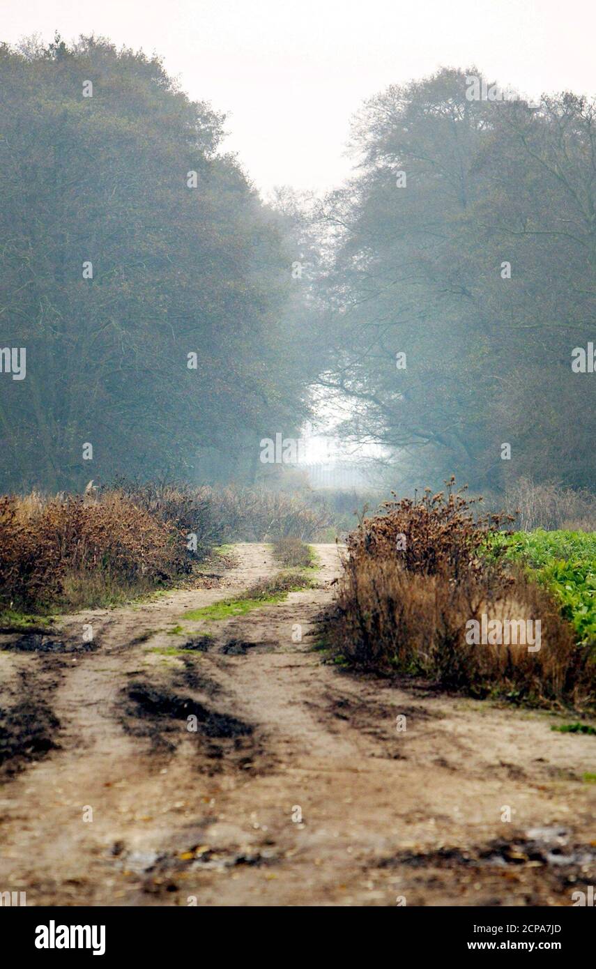 A track leading to the spot where the bodies of murdered British schoolgirls Jessica Chapman and Holly Wells were found is seen near Lakenheath in Suffolk, southern England, November 11, 2003. Jurors in the trial of Ian Huntley, a former school caretaker charged with murdering the girls in August 2002, visited the site on Tuesday where their bodies were dumped in a ditch. REUTERS/Peter Macdiarmid  PKM/ASA Stock Photo