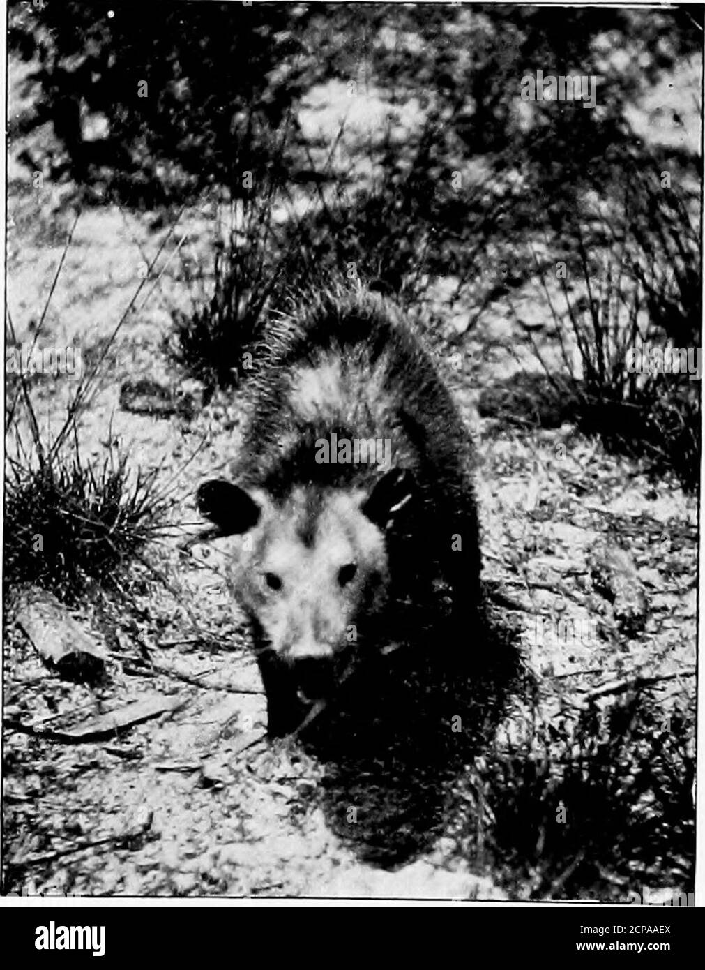 Oneboat Black and White Stock Photos & Images - Alamy